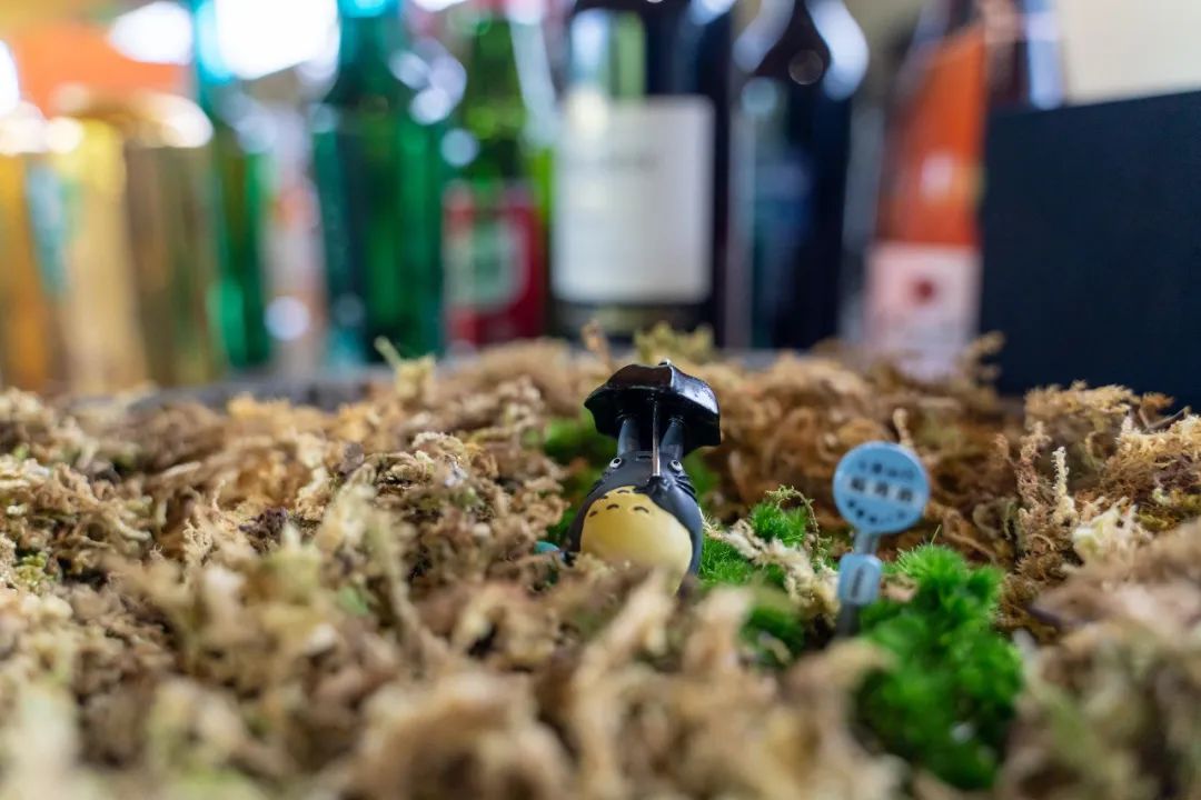 玛御谷高颜值森林餐厅，隐于林，隐于溪