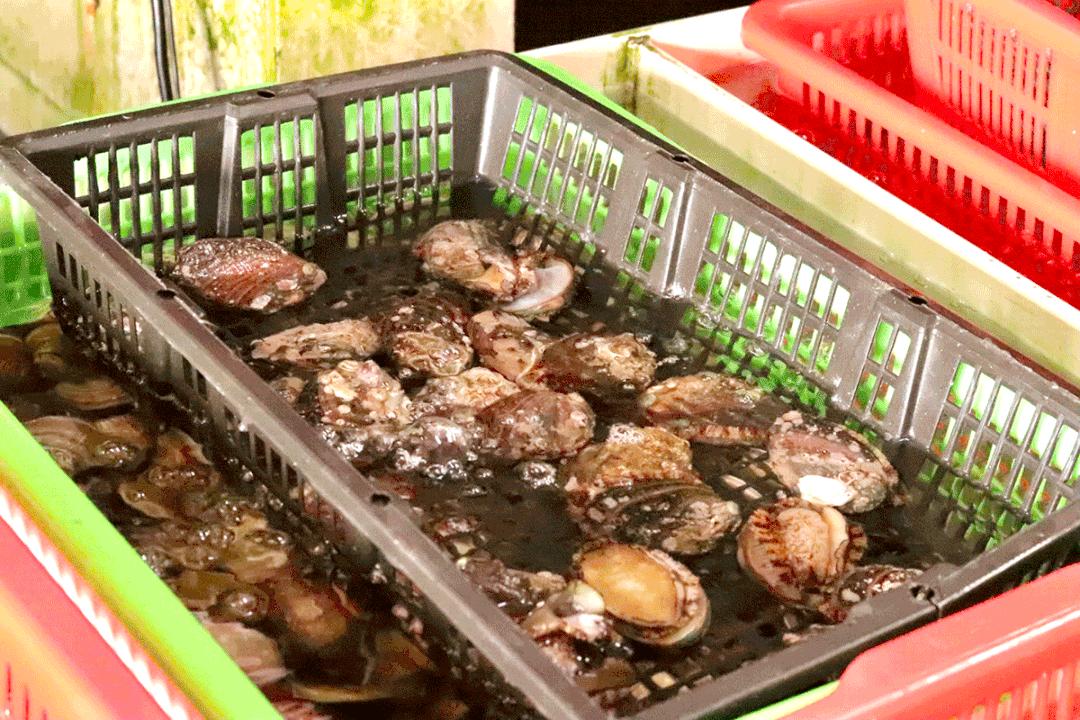 珠海斗门金湾遛娃好去处免费,金湾遛娃好去处