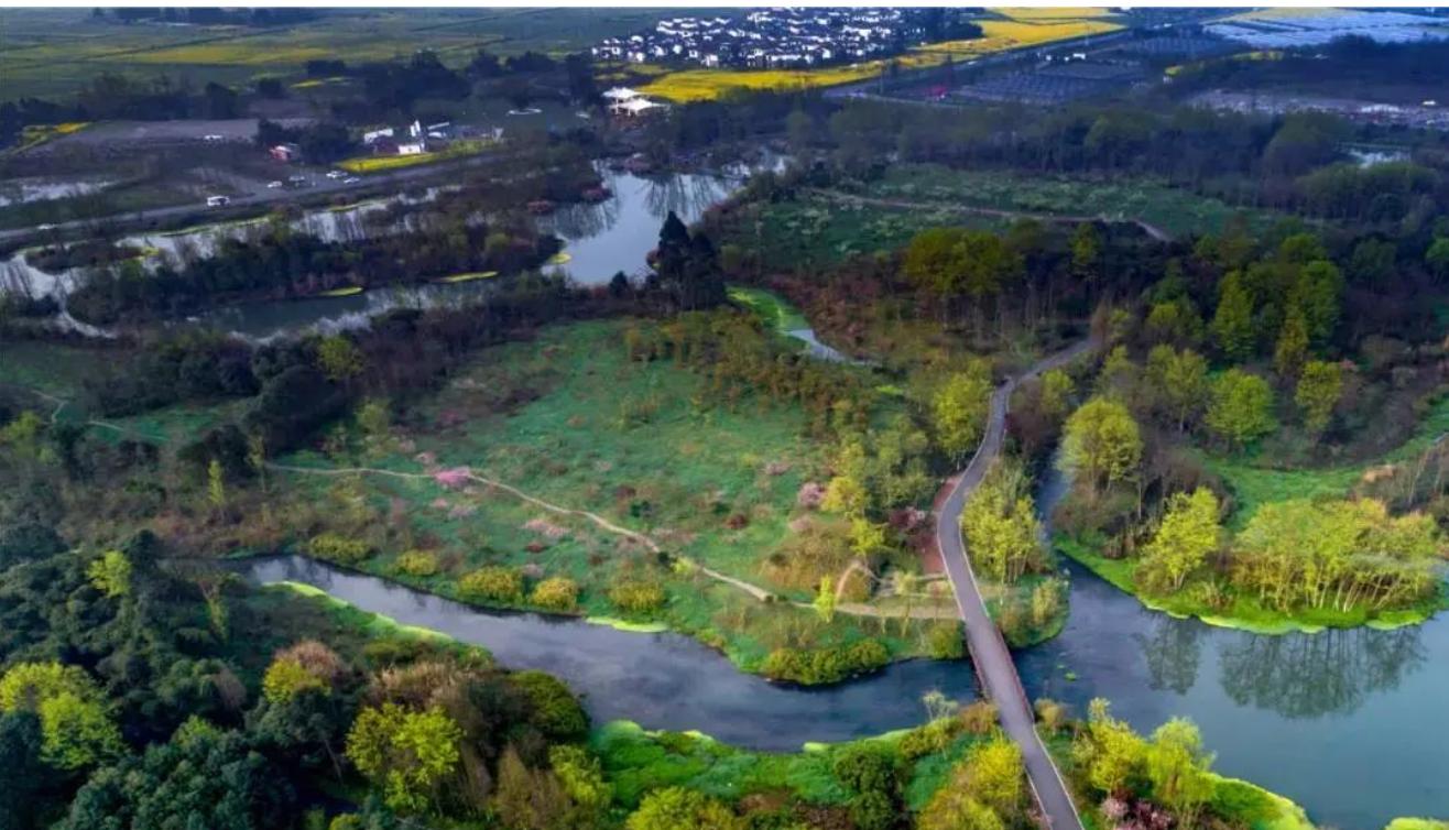 成都杨溪湖湿地公园位置,成都青龙湖湿地公园位置