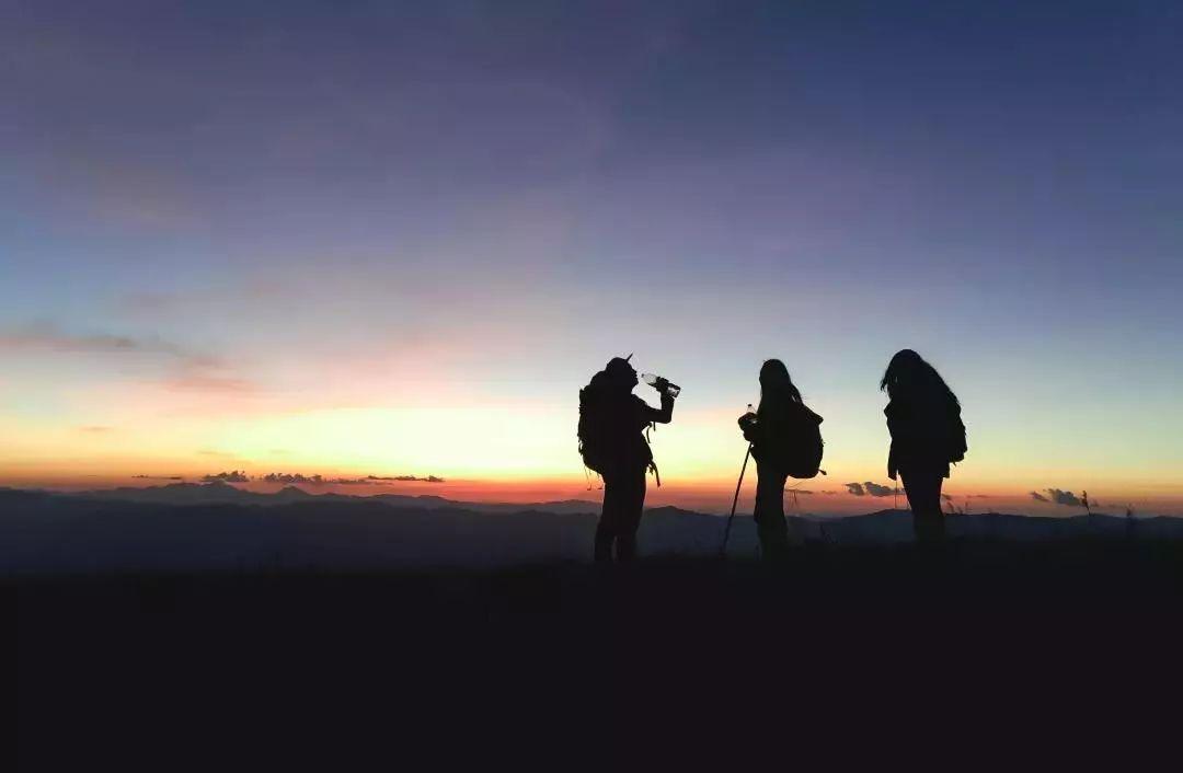 理科生就业薪资最高的专业,理科生就业前景好还好学的专业