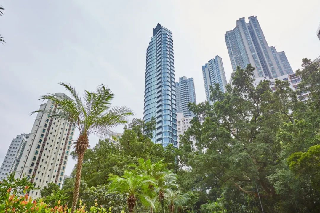 洗米华因为什么被批准逮捕,洗米华被批捕的原因是什么