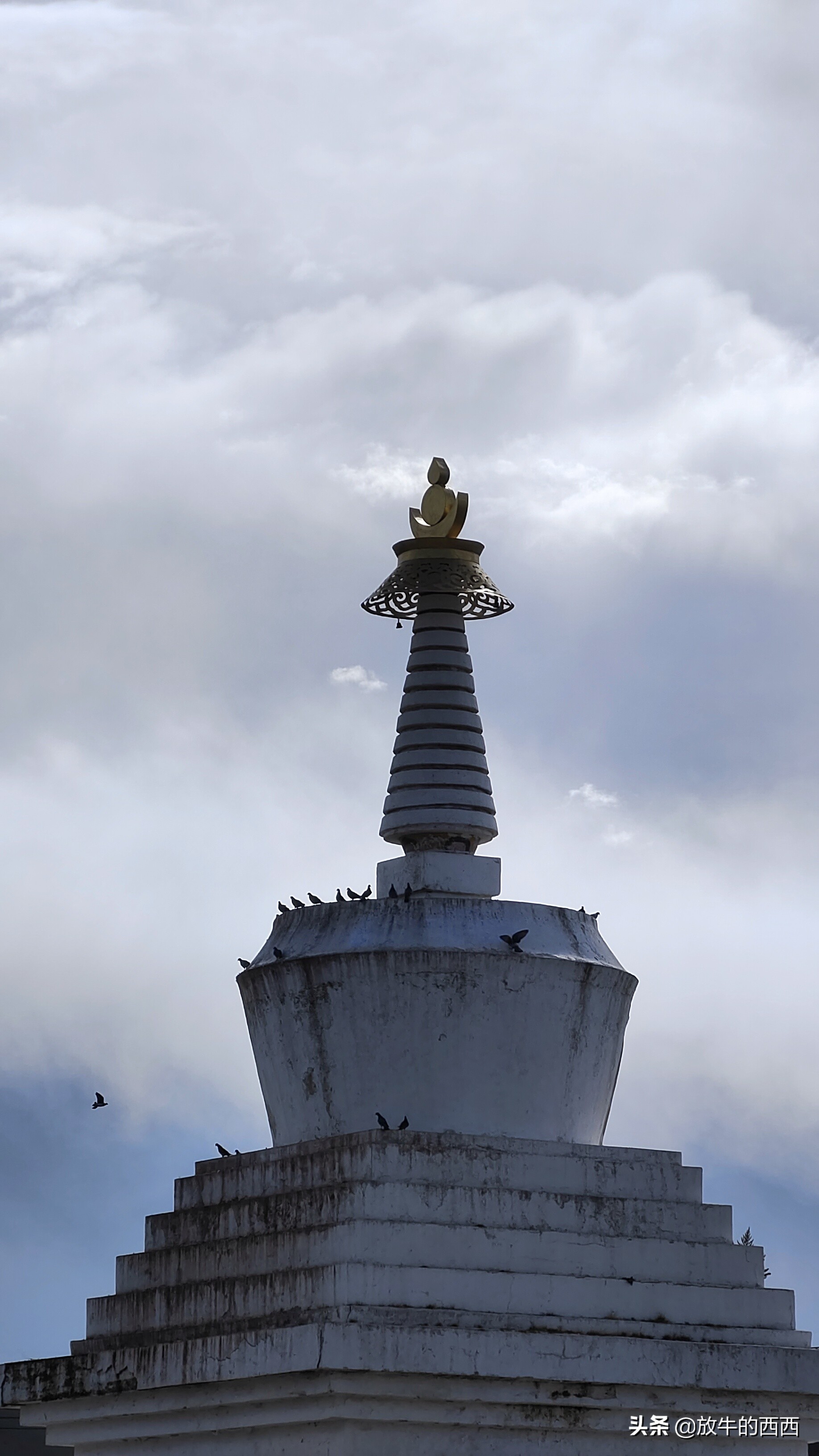 6999元原价购入“厂妹机”,使用近3个月,我后悔了吗?