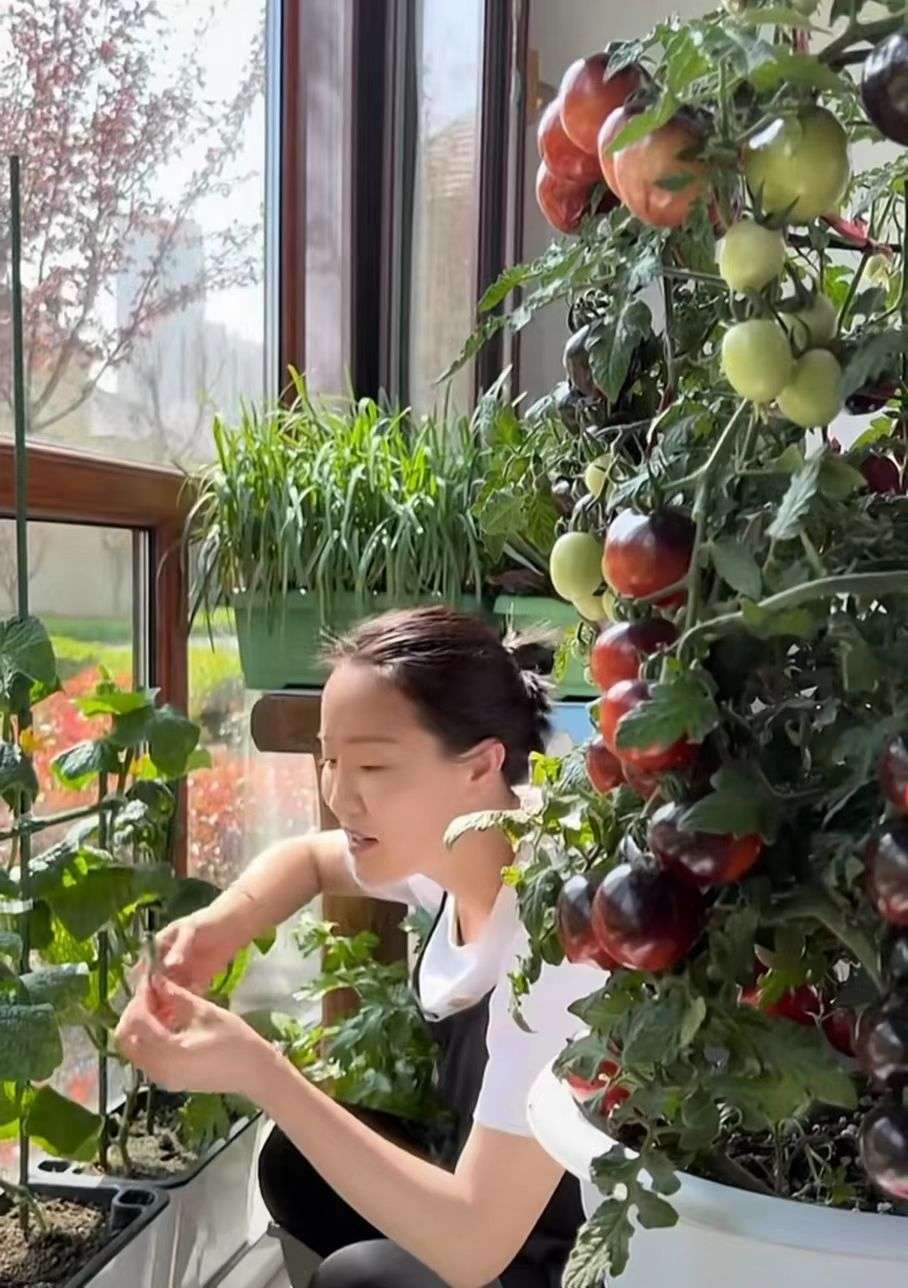 90后辞掉月薪5000的工资回家种地,90后返乡种地年入百万