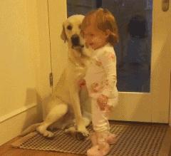 怎么挑选一只凶猛又护主人的狗,怎样挑选一只聪明又听话的狗