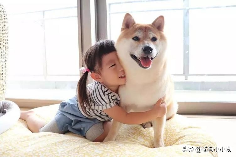 宝宝养狗狗的好处和坏处,养狗的好处和坏处有哪些呢