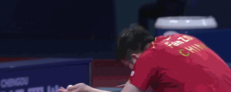 张本智和赢了樊振东和王楚钦,张本智和连赢王楚钦和樊振东