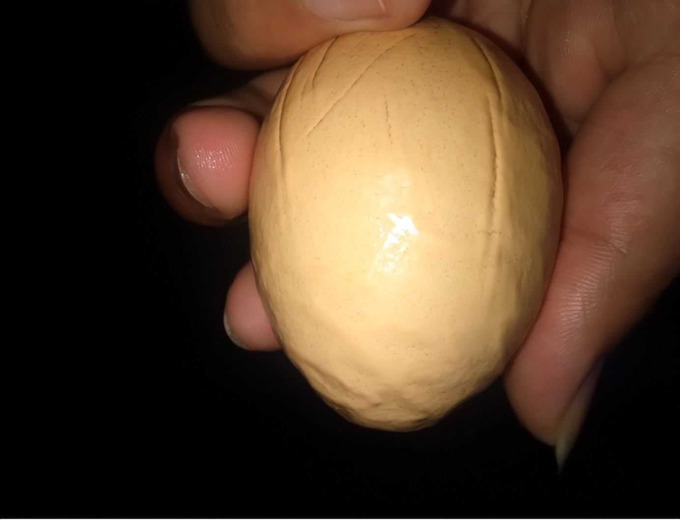 市场上人造蛋成本高吗,市场人造鸡蛋多吗