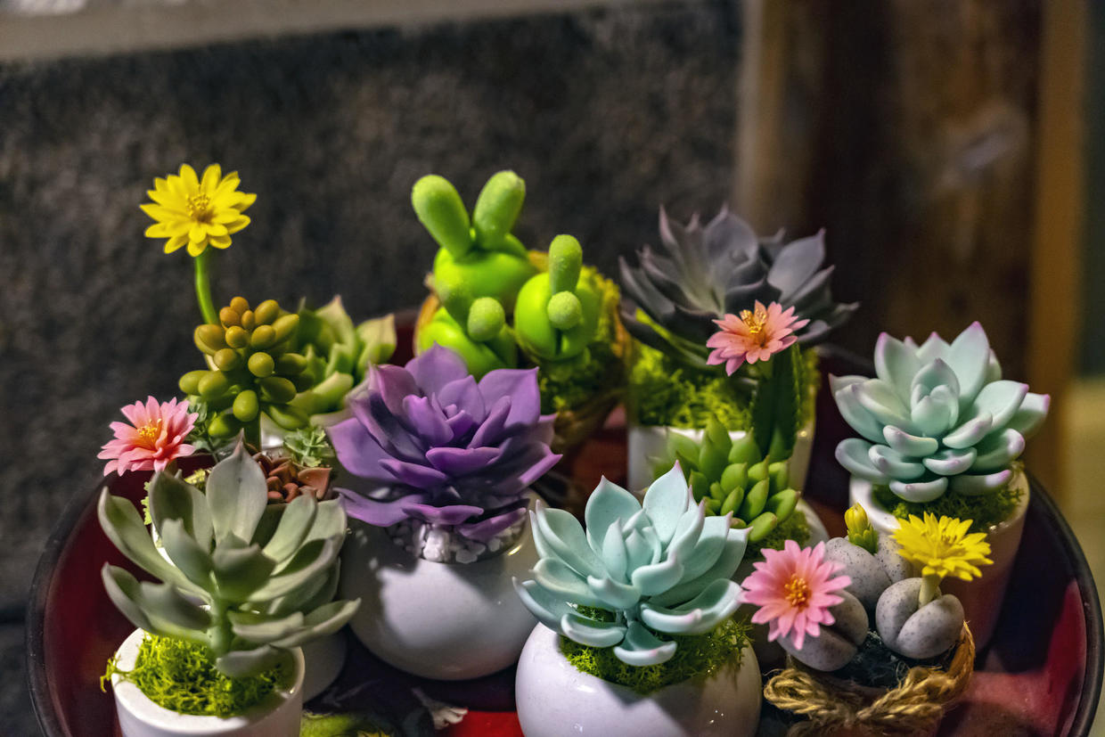 入殓师冷门角色,绘梦师在什么平台从事工作