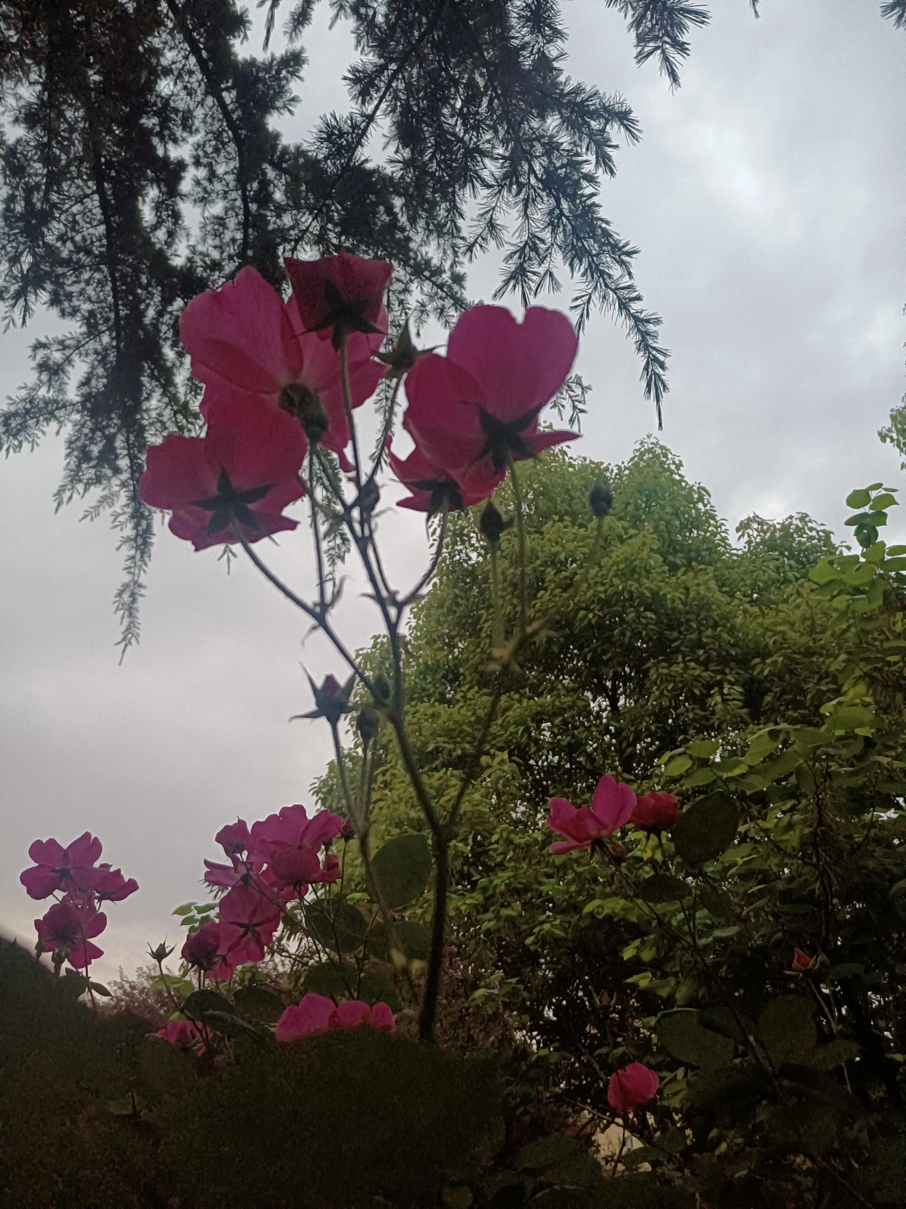 北京到南京的票买不到,北京到南京车票买不到吗