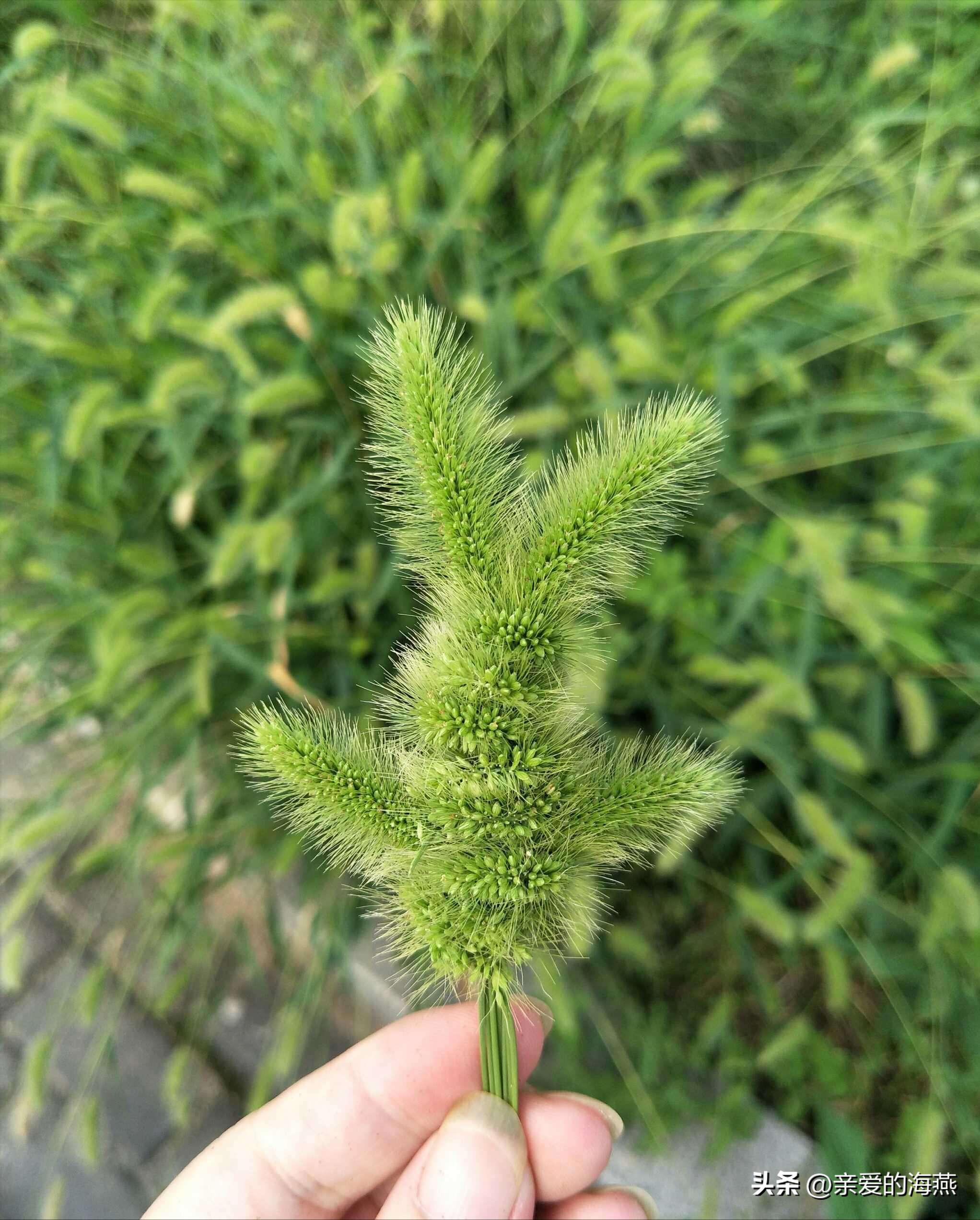 中班益智区自制玩具100例简单,童年玩具7080后的回忆自制