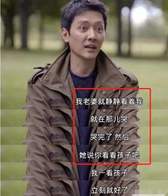 赵丽颖入股几家公司一年赚多少,赵丽颖拥有的公司都有哪些