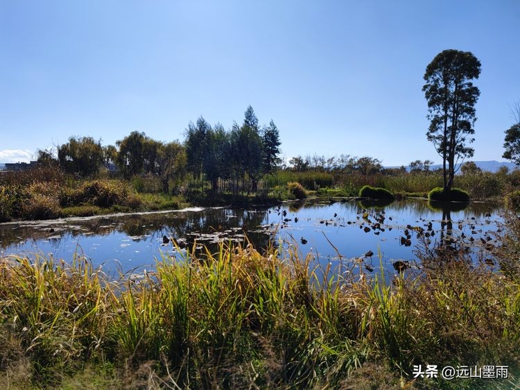云南昆明滇池小渔村展新颜,滇池边的小渔村