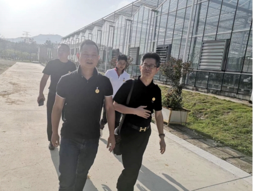 博士茶馆纯中式茶,深圳博士茶馆