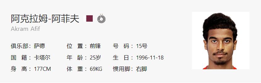 卡塔尔世界杯32强巡礼之埃及,卡塔尔世界杯32强巡礼德国