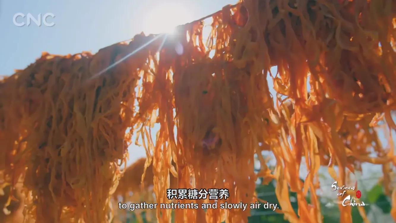 霜降有好柿，橘红色“灯笼”的变形记