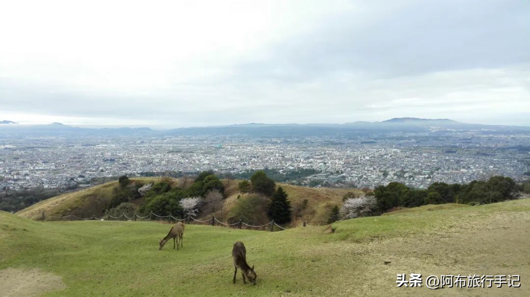 日本内秀之城，奈良好不好，过夜细品更有发言权
