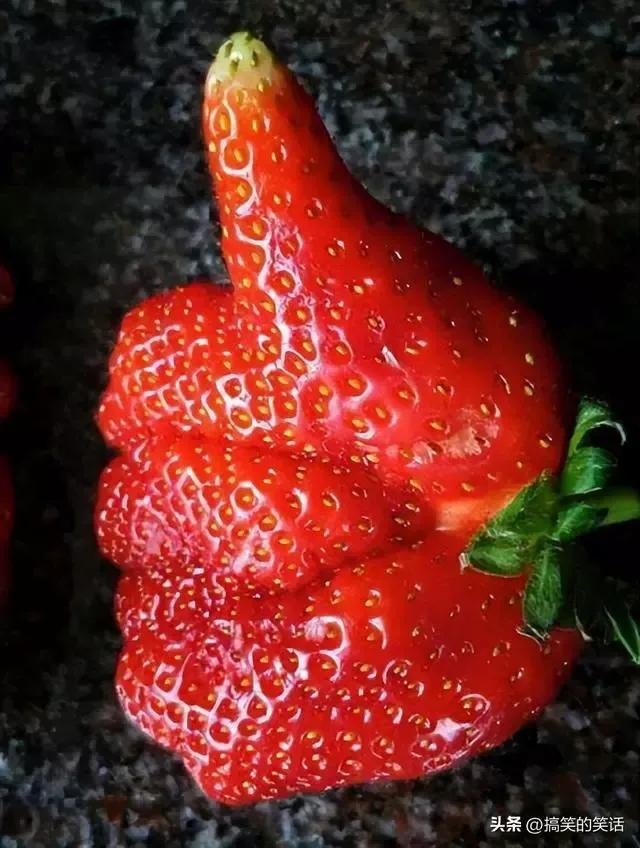 搞笑方言最新幽默笑话段子,搞笑笑话合集爆笑冷笑话