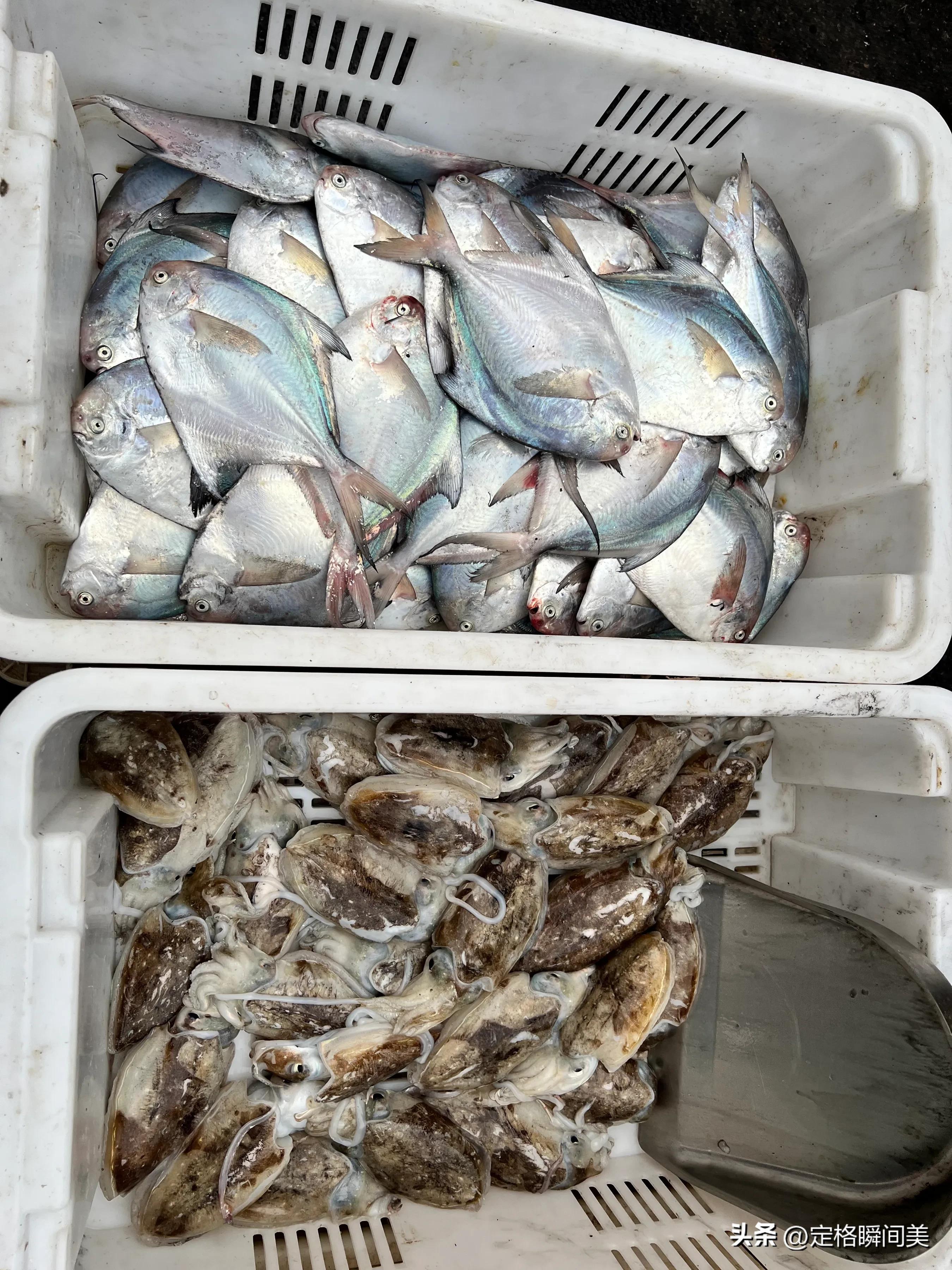 青岛冬季海鲜最便宜,青岛冬季便宜海鲜