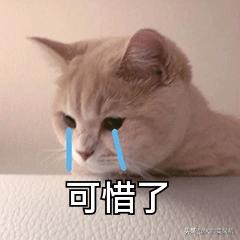 腾讯qq公告最新官方消息,腾讯宣布qq下架吗