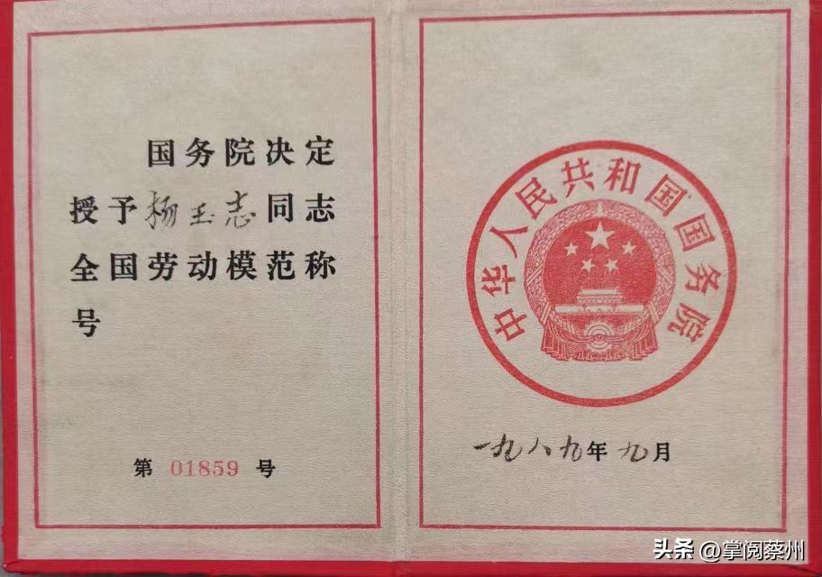 成为体育教师的感受,难忘当老师的日子