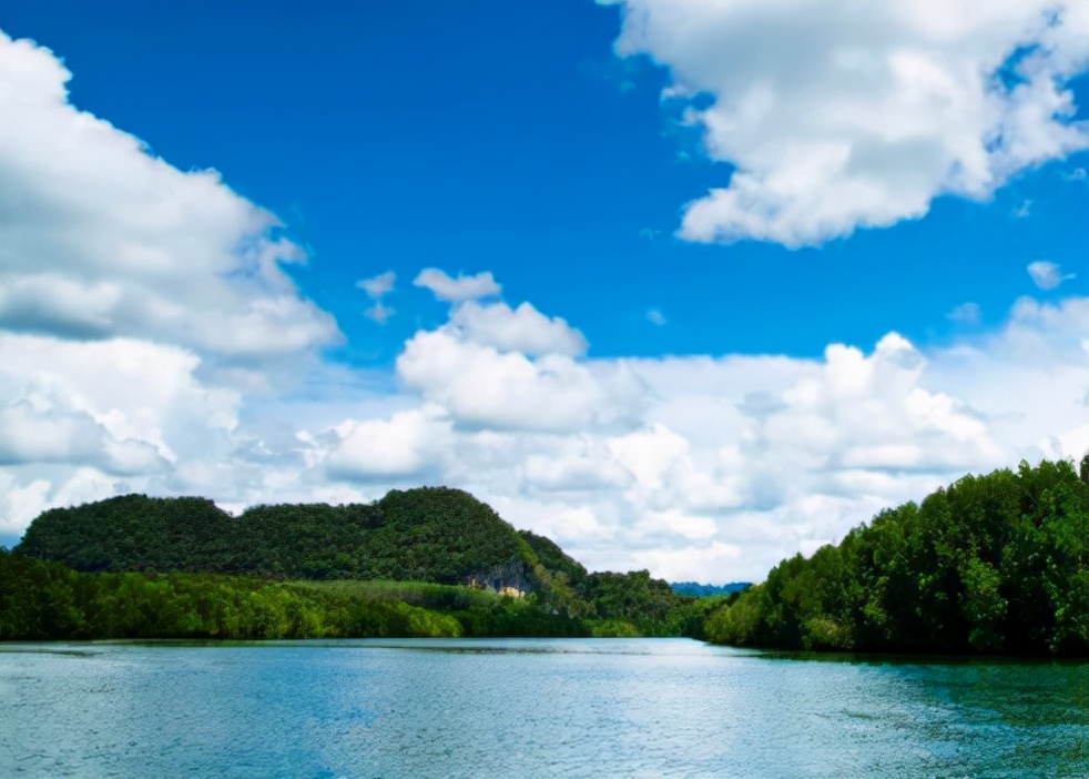 王维十首名诗鸟鸣涧,王维十首最好诗