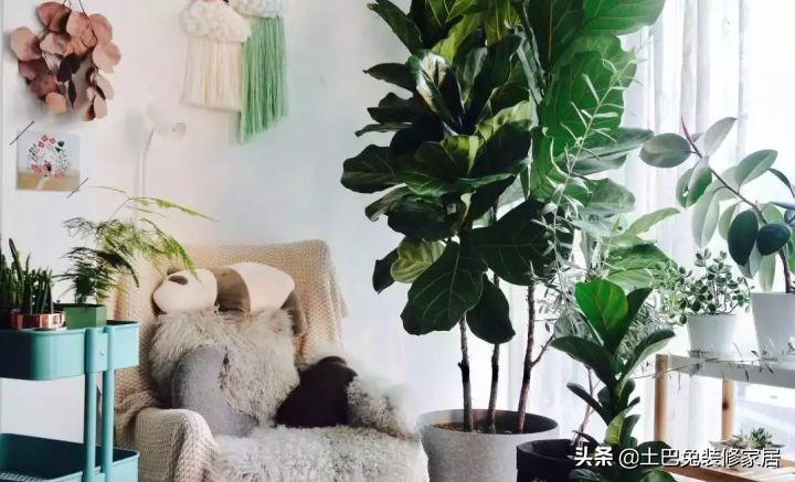 适合小夫妻住的两室一厅,90后小夫妻住30平米的房间吃什么