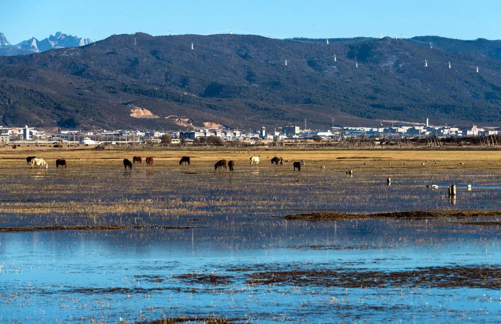 香格里拉十大景点推荐英文,香格里拉的十大最好景点
