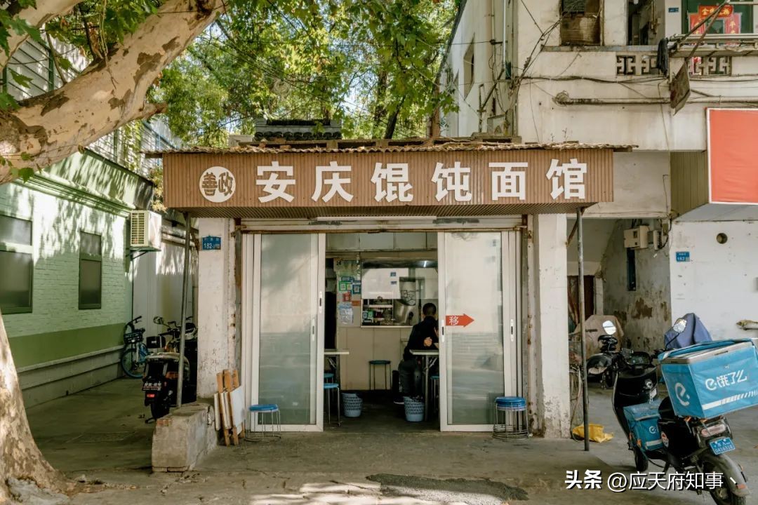 梧桐树寄托乡愁的诗句,关于南京的梧桐树文章