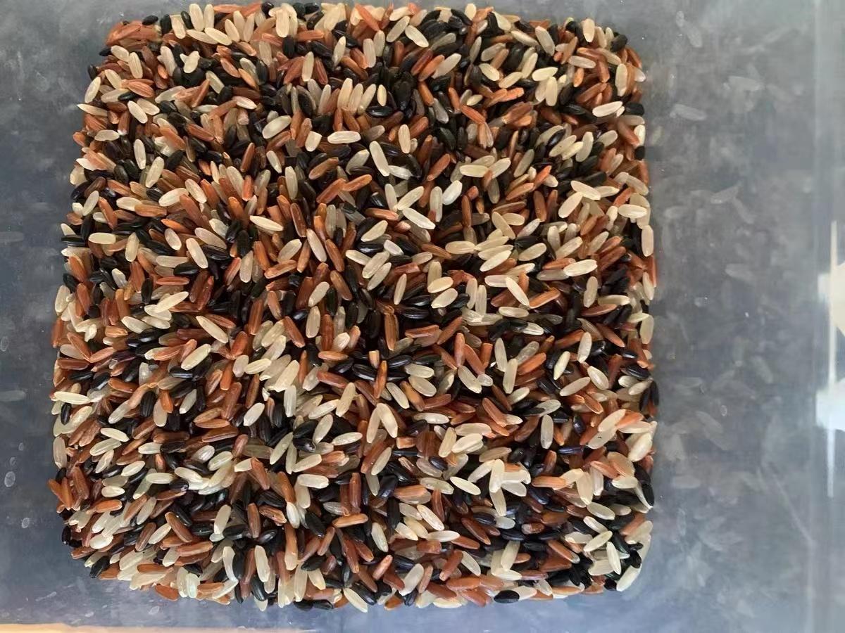 减肥低脂饱腹主食,饱腹感最好的减肥主食