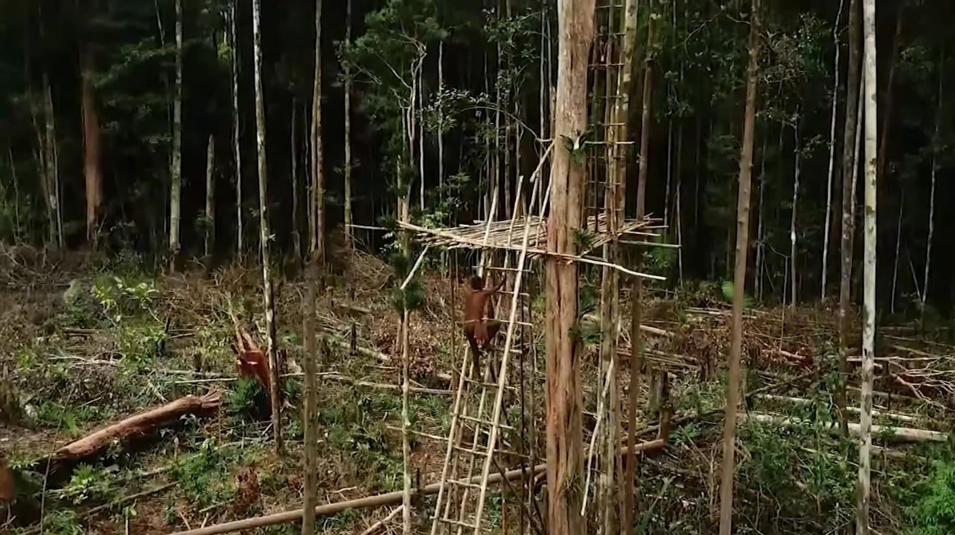 现存的食人族原始部落,世界上最后一个食人族部落