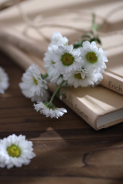 春风十里如沐春风散文,经典里的春天散文