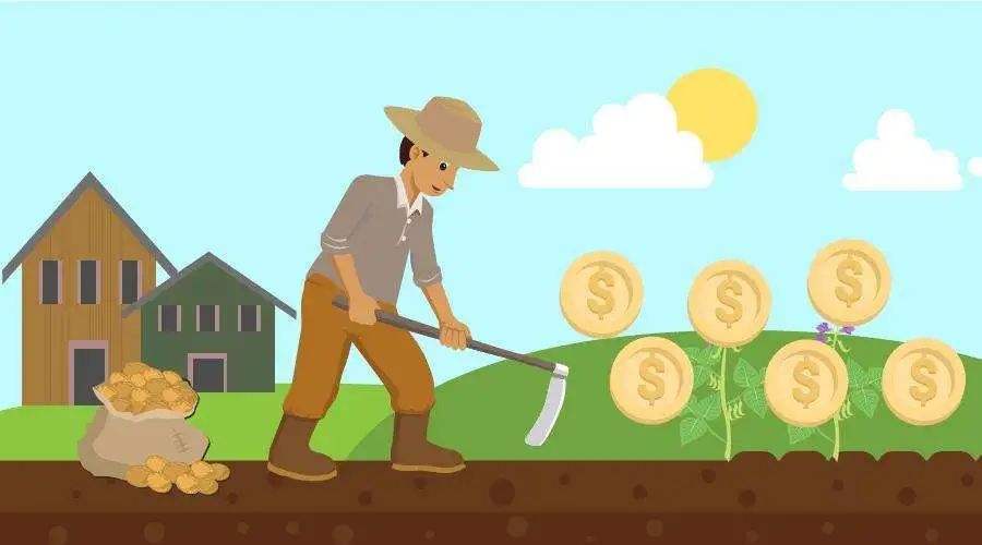 彩叶豆梨10-12公分最新报价,浙江彩叶豆梨多少钱一棵