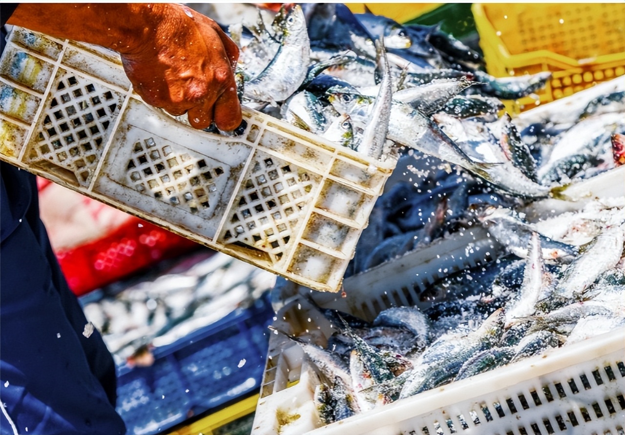 小细节大文明保护海洋礼仪篇,小细节大文明视频