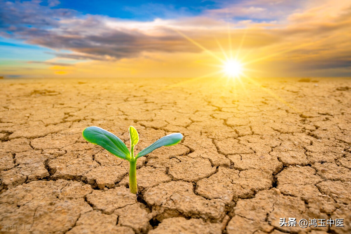女性裂纹舌是什么原因引起的,裂纹舌影响生孩子么