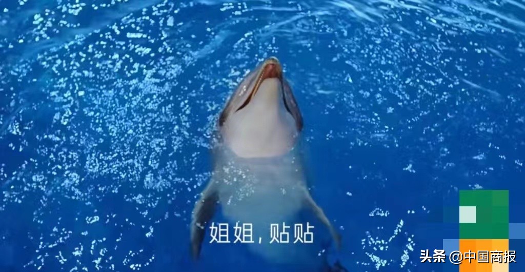 广告被指“太阴间”“消费女性”，膜法世家错了不止一回