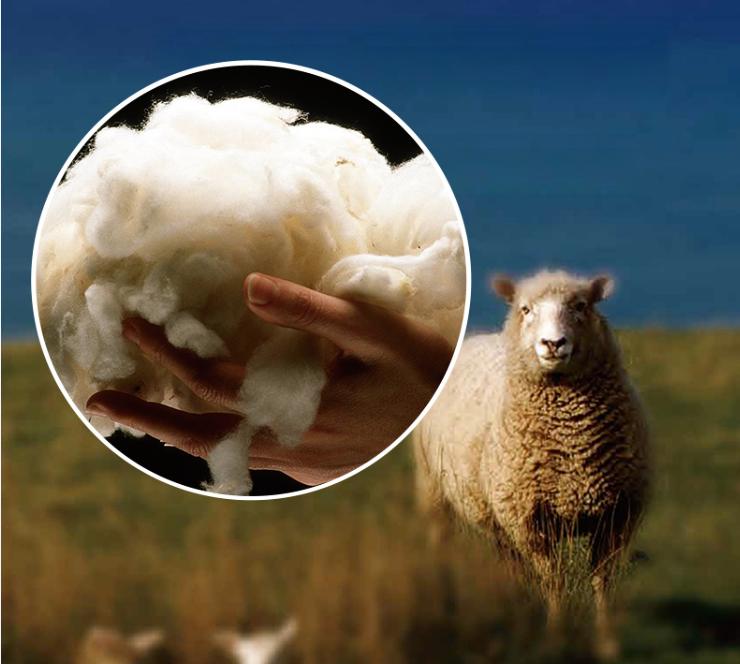 新品上市|朱莉Ⅲ床垫，源自新西兰的绿色环保，打造“太空梦”