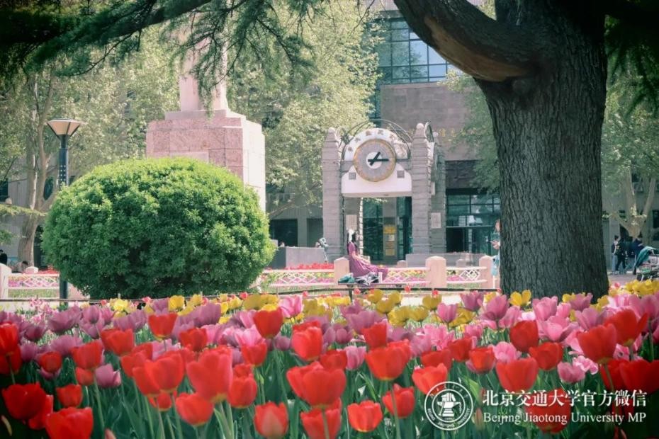 清华北大30名学霸参军入伍潜艇兵,北京六个学霸军人