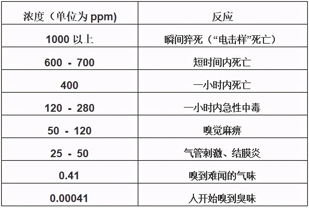 电击身亡事件,硫化氢中毒最大事故
