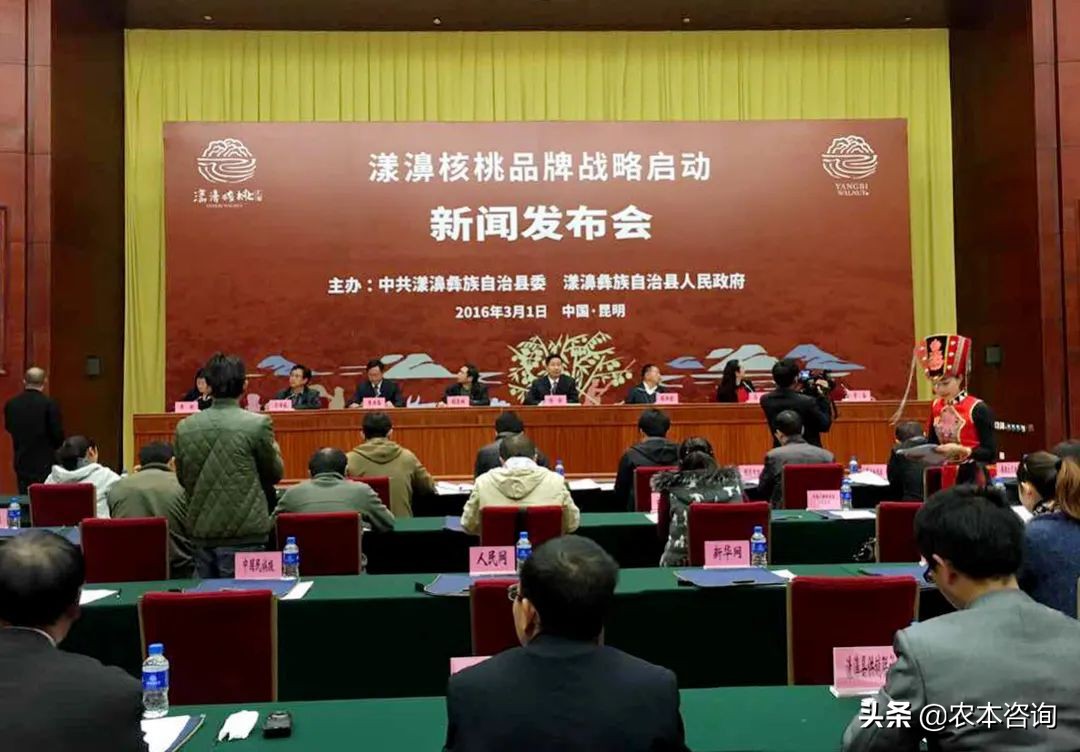 漾濞县核桃产业,漾濞核桃多样性