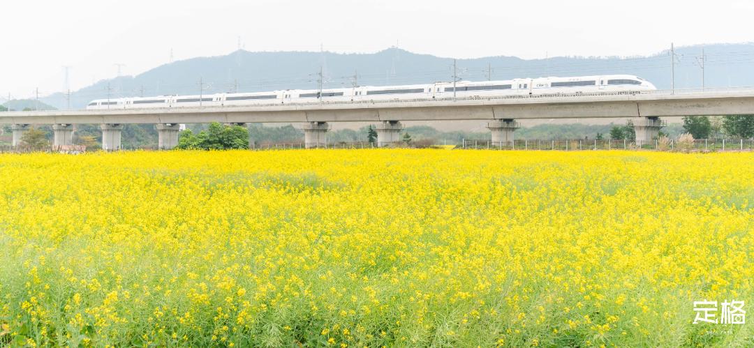 深圳最好玩的十个地方,深圳光明小镇欢乐田园好玩吗