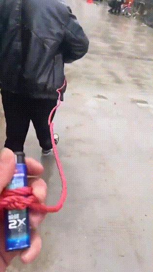 爆笑的动图,爆笑动图大集锦