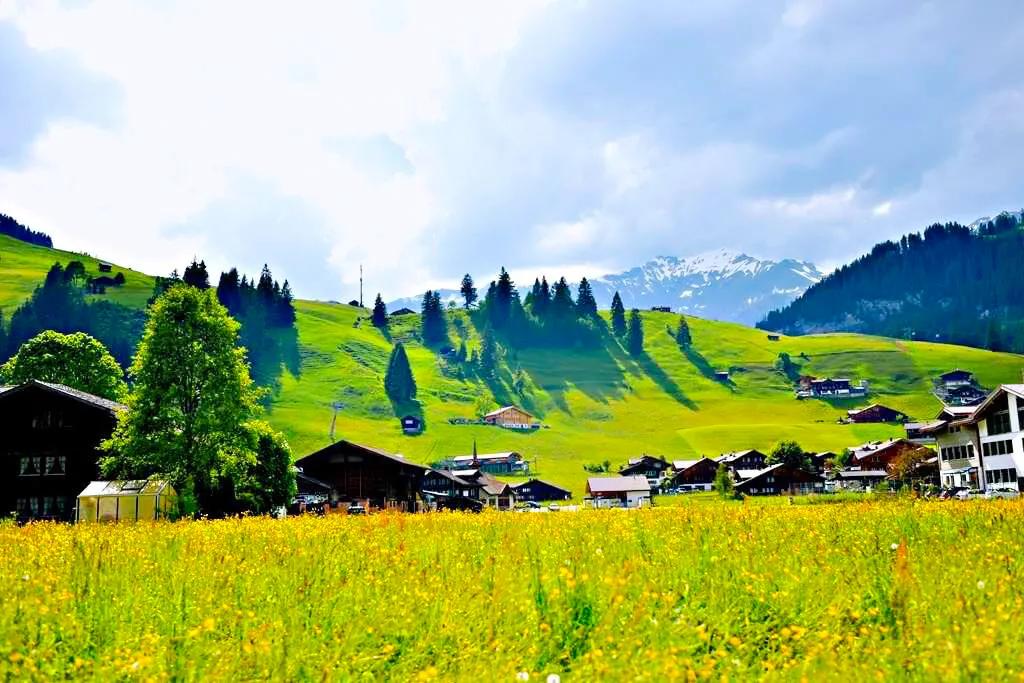 人生难得静心,人生难得清净心