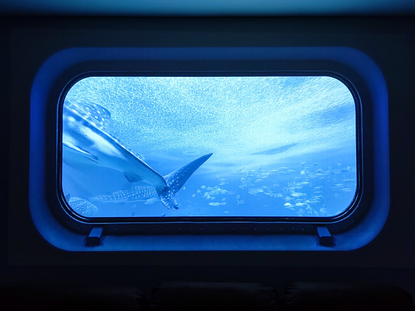 极米h5真实使用效果,极米h5投影200寸效果