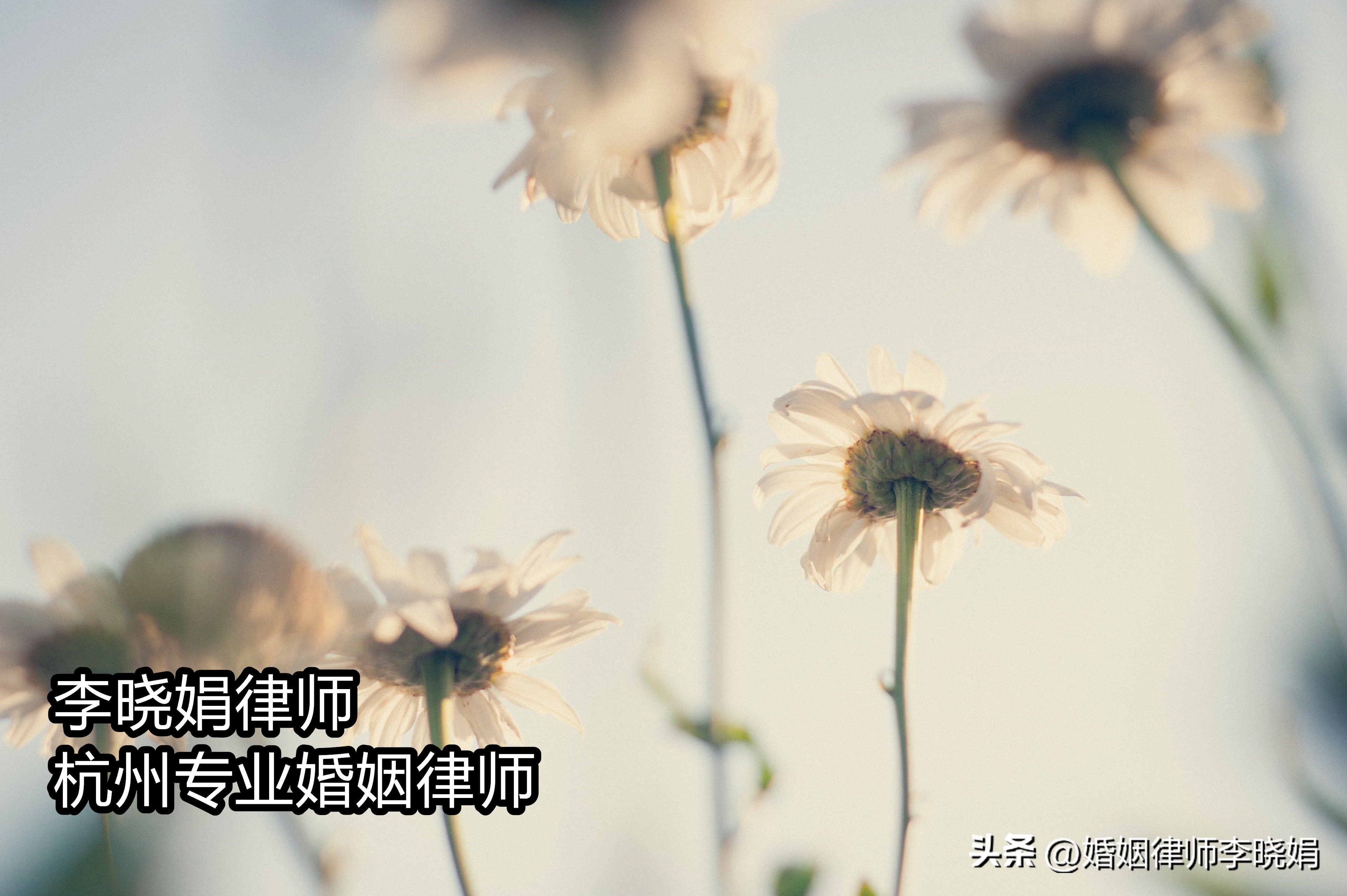 杭州离婚房产分割律师咨询,杭州离婚财产分配律师咨询