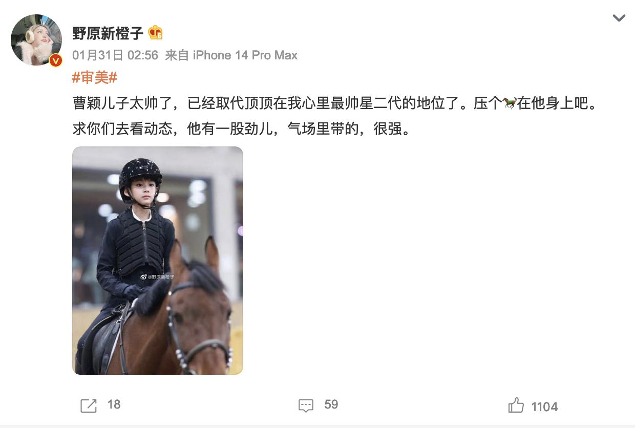 曹颖儿子被赞高颜值,曹颖儿子颜值太高引热议