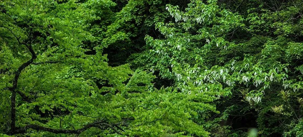 昭觉美姑,美姑路况