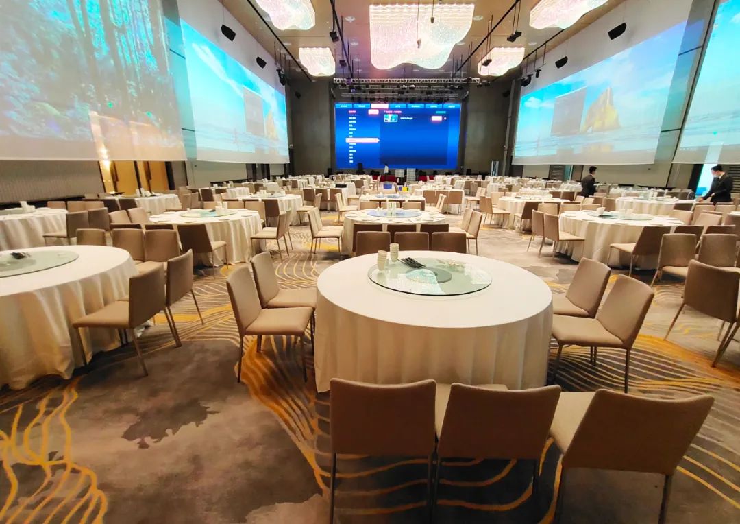 山花烂漫长沙,长沙山花地毯