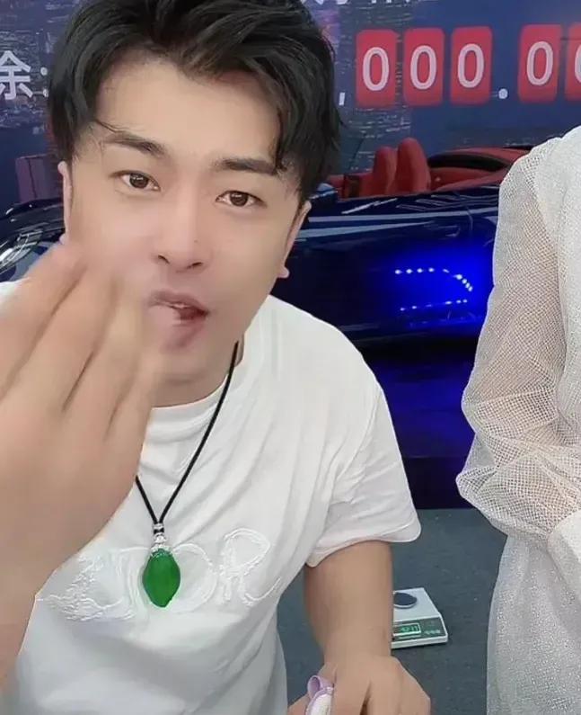 辛巴一天能挣1000万是真的吗,辛巴一天挣13亿