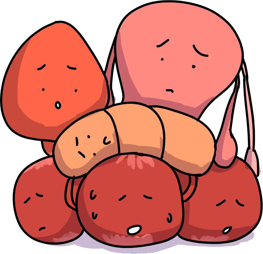 吃好休息好也不能让受损的盆底肌自愈！