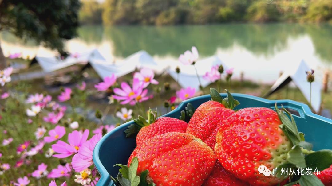 两人从化两天一夜游玩攻略,去从化玩的攻略